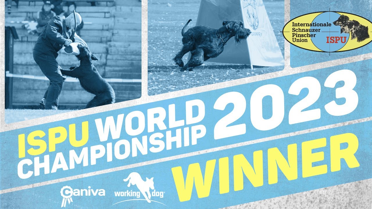 Winner 31. ISPU-WM IGP 2023 // Markus Neutz // Greif vom Hatzbachtal