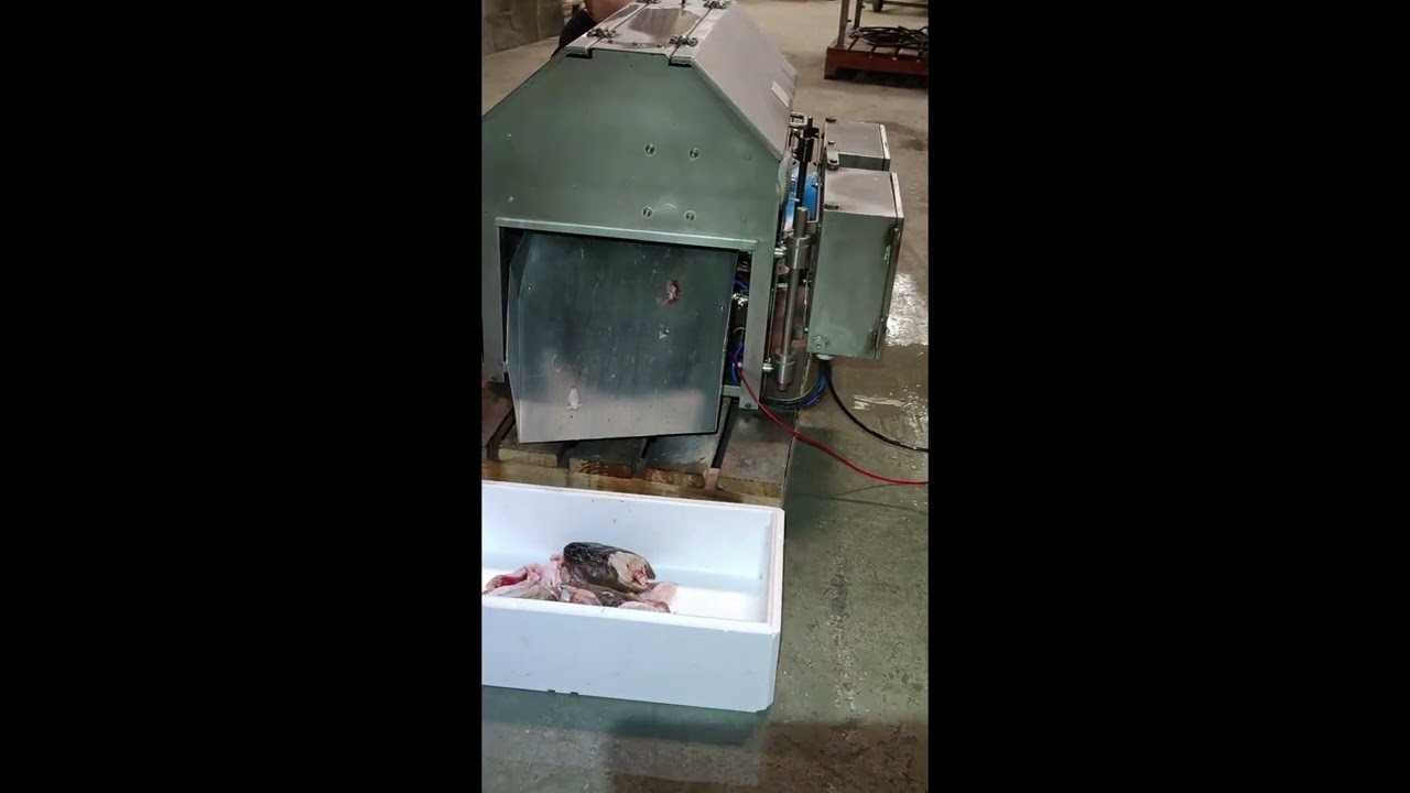 Mesa 955 - Fish heading machine