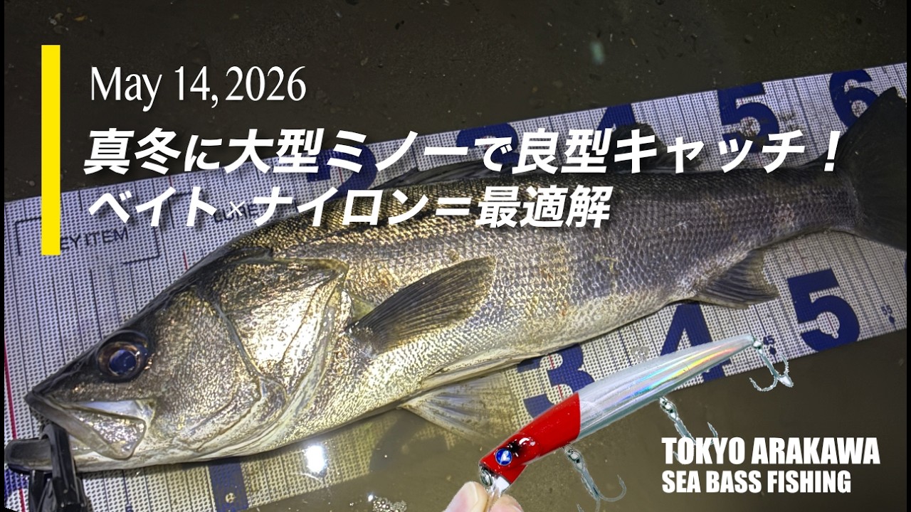 【荒川シーバス釣りVlog - 2026.2.14】真冬に大型ミノーで良型キャッチ！｜ベイト×ナイロン＝最適解