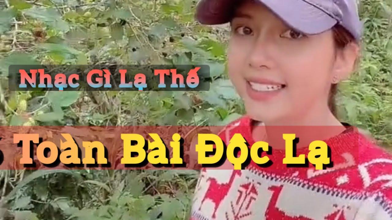 Lk Nhạc Xu Hướng Độc Lạ - Tình Theo Bến Đỗ