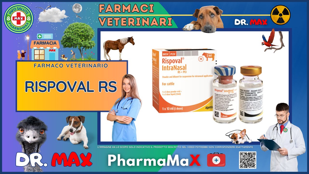 🐶 RISPOVAL RS Farmaco Veterinario a cosa serve ? - Foglietto Illustrativo Salute