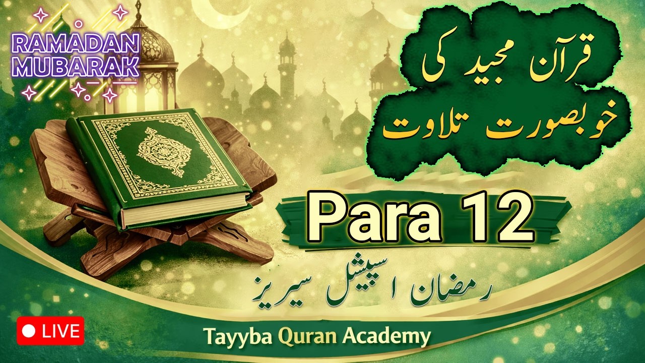 Tayyba Quran Academy is live!