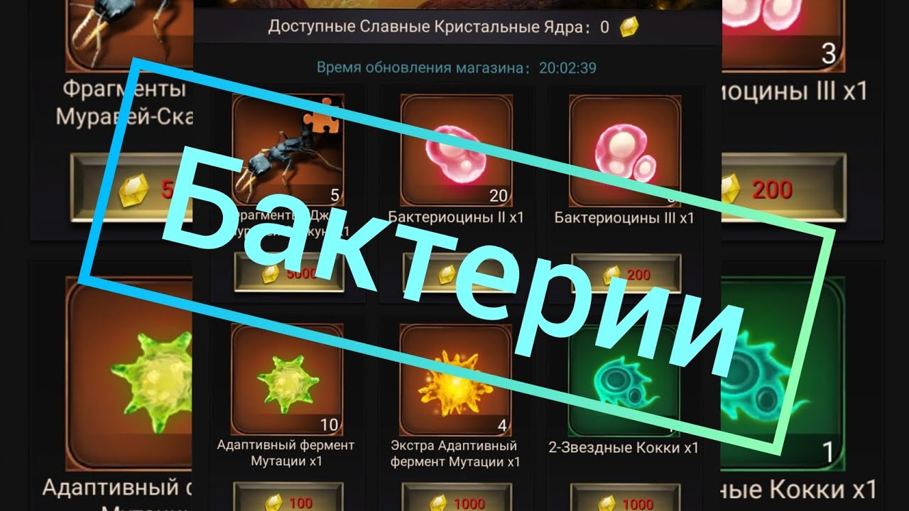 Бактерии!!! новое обновление