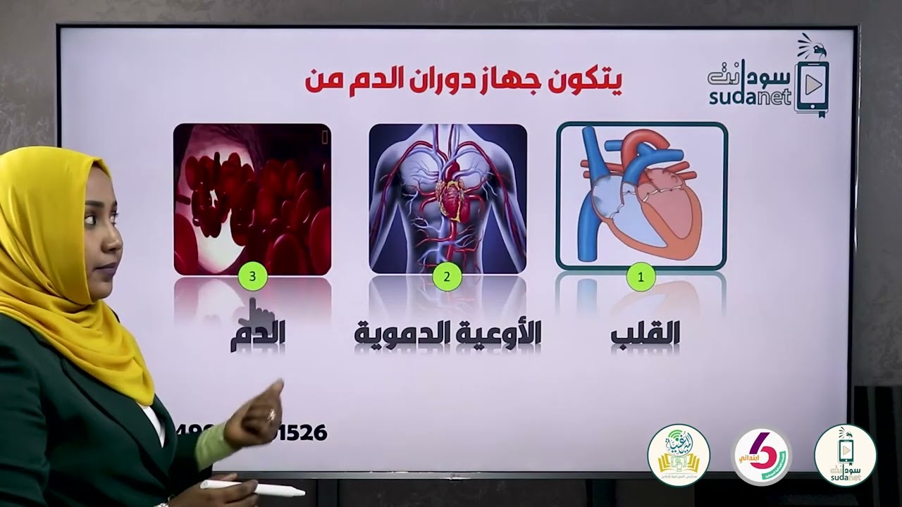 الصف السادس   الدرس الاول   جهاز دوران الدم