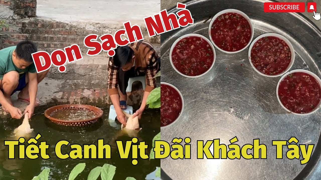 Dọn Sạch Nhà Đánh Tiết Canh Vịt Đãi Khách Tây  Siêu Ngon