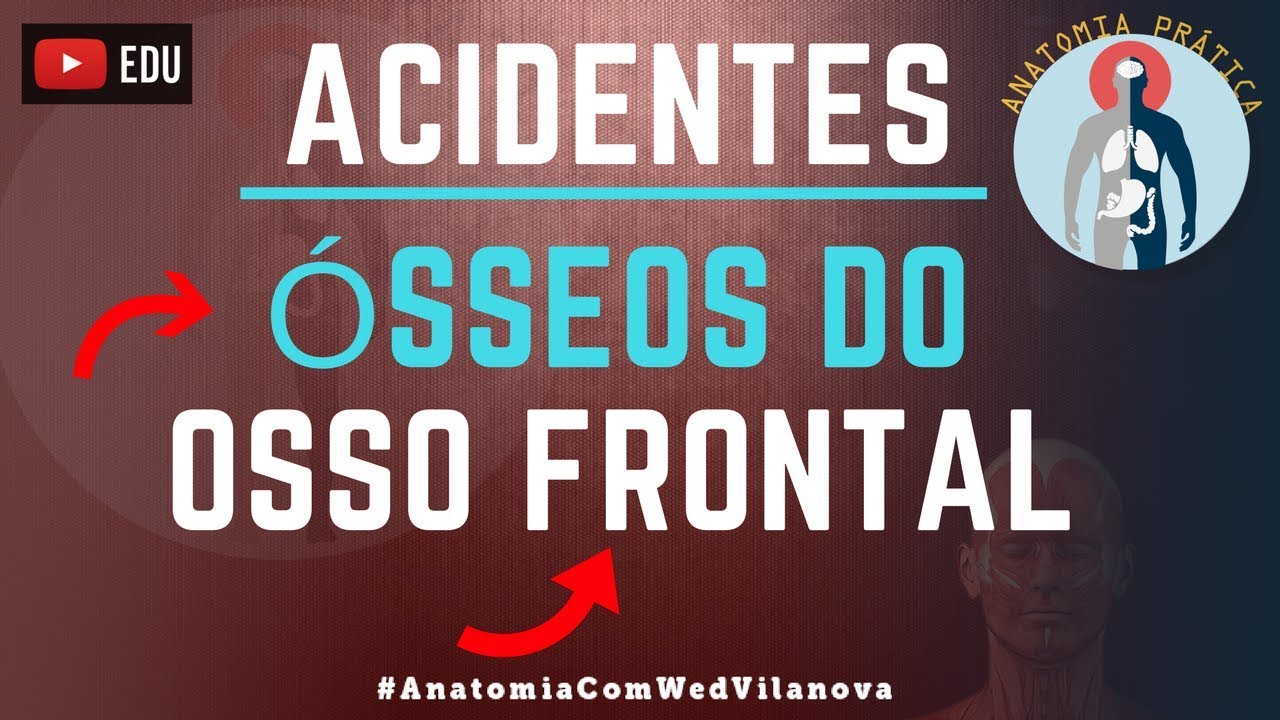 Osso Frontal ACIDENTES ÓSSEOS! Quais são❗❓DESCUBRA AQUI❗ [Anatomia Prática]