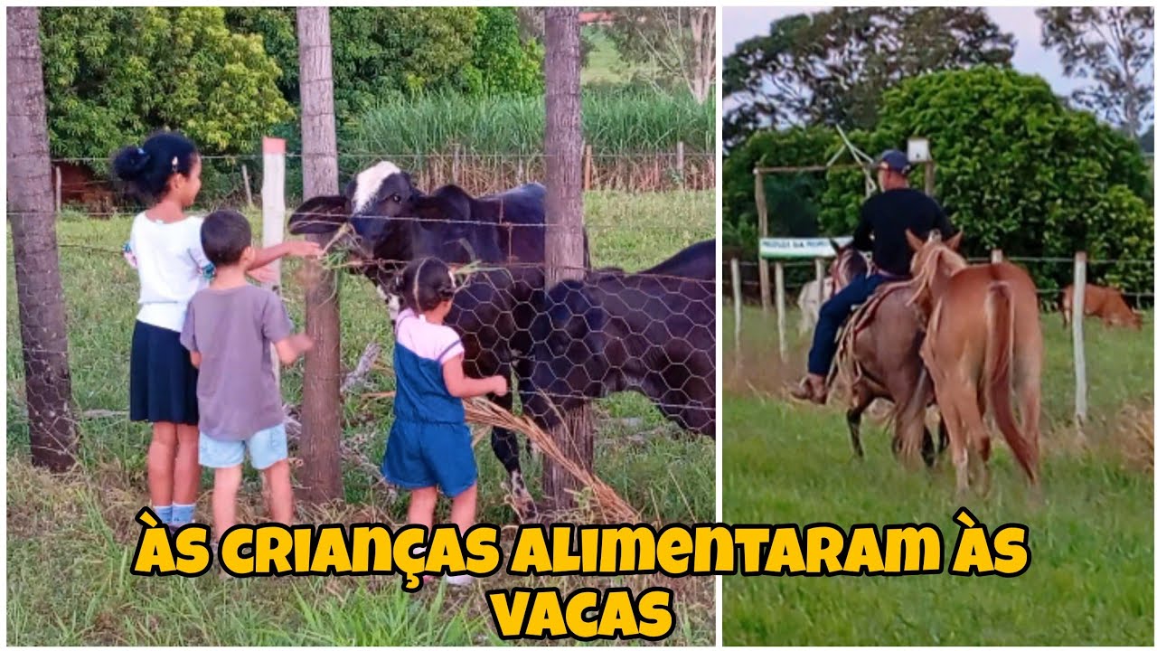 A FELICIDADE DAS MINHAS CRIANÇAS ALIMENTANDO AS VACAS 🐄🌿