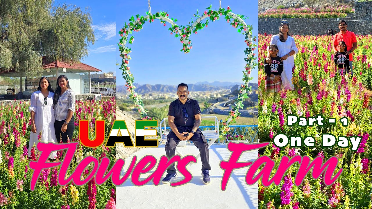 UAE Flower Farm | Hidden gems in Masafi | The Santorini of the UAE | Must visit place in UAE | RAK