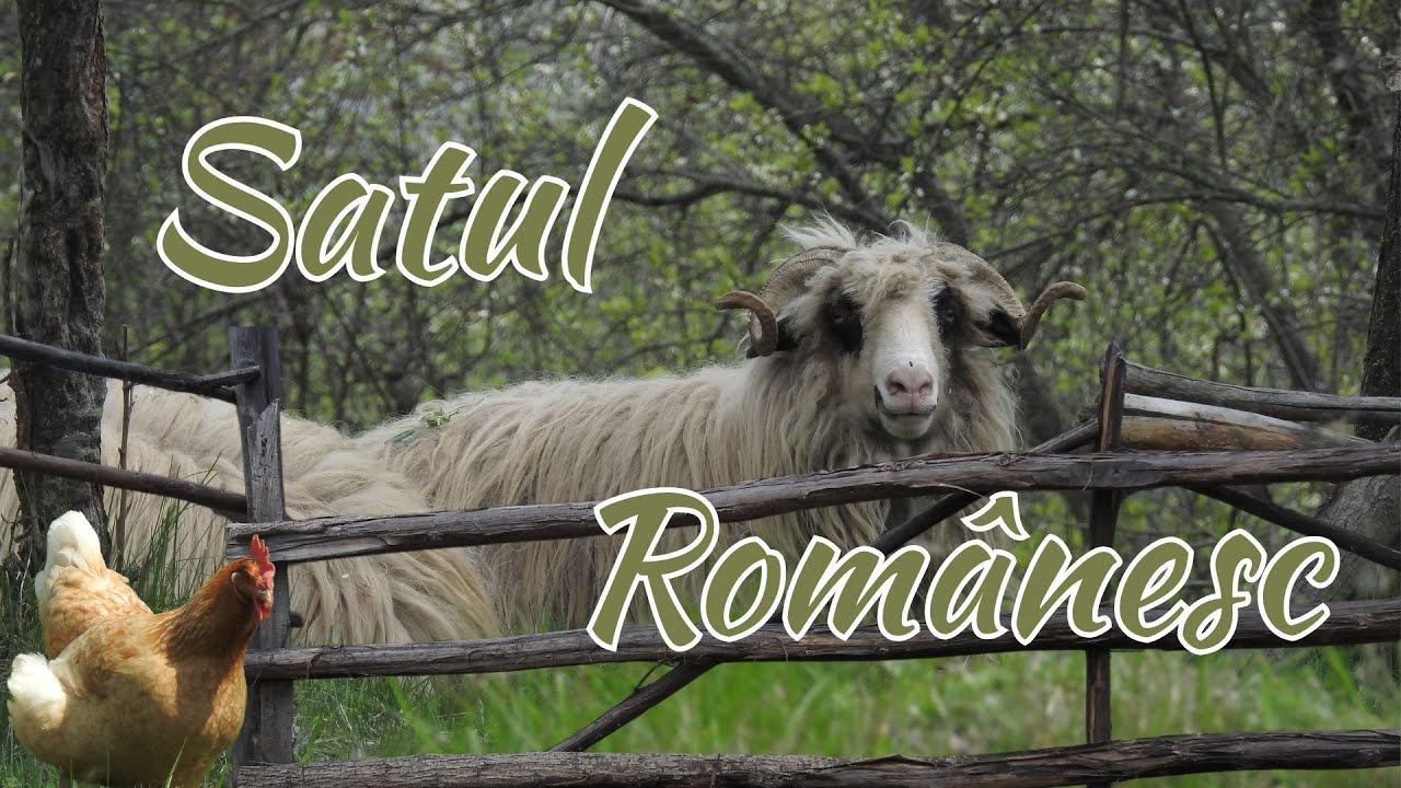 Satul Rom&acirc;nesc &ndash; Liniștea și frumusețea vieții simple