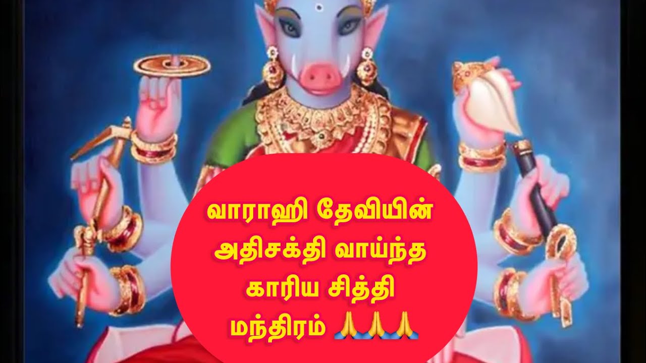 வாராஹி தேவியின் அத்புத காரியசித்தி மந்திரம்.உங்கள் பிரார்த்தனைகள் தடையின்றி நிறைவேற ஜபியுங்கள்