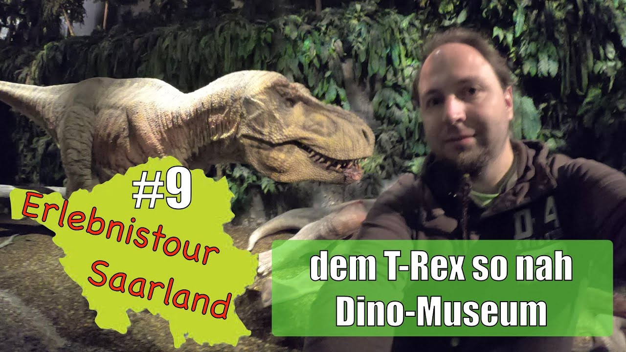 #9 Gondwana - Das Praehistorium - Erlebnistour Saarland
