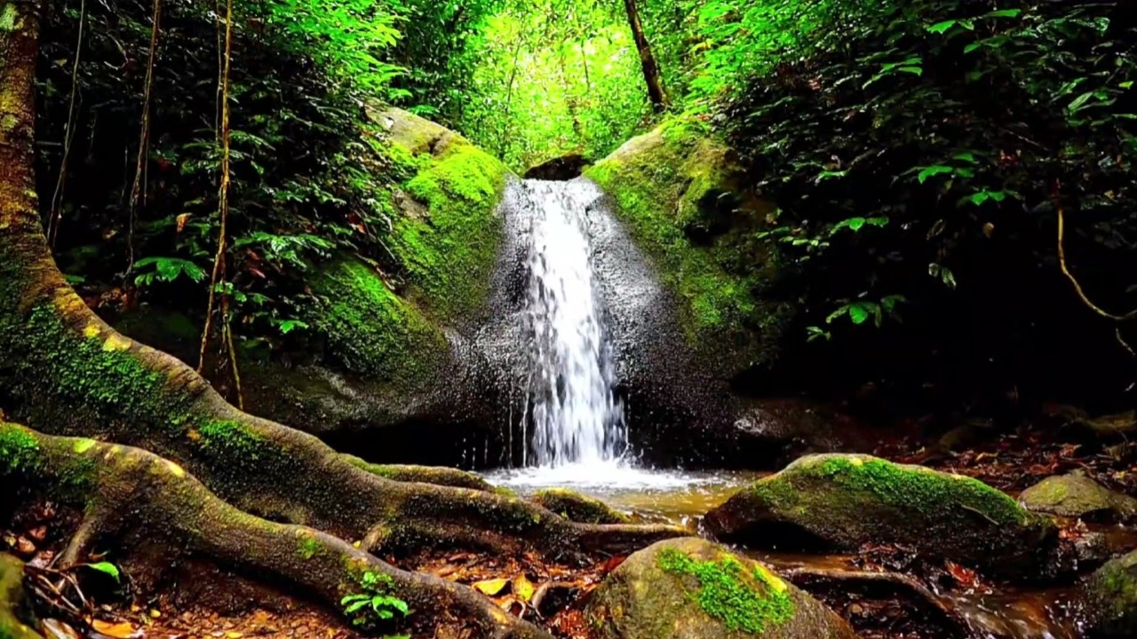 DEEP RELAXATION WITH NATURAL RIVER FLOW SOUNDS FOR SLEEP AND INSOMNIA RELIEF | 8 HOURS VIDEO