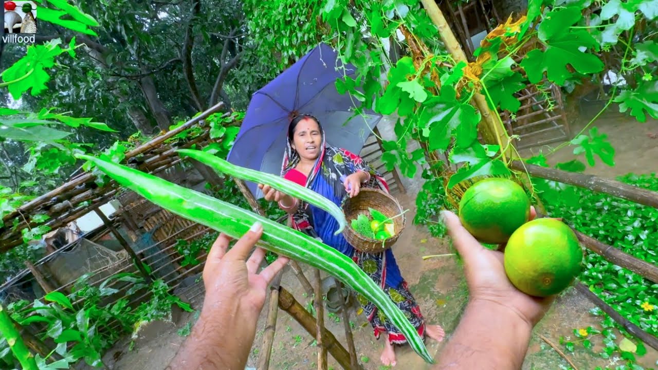 villfood Garden review | বর্ষায় ভিজে আমাদের বাগানের শাকসবজি তুলে রান্না