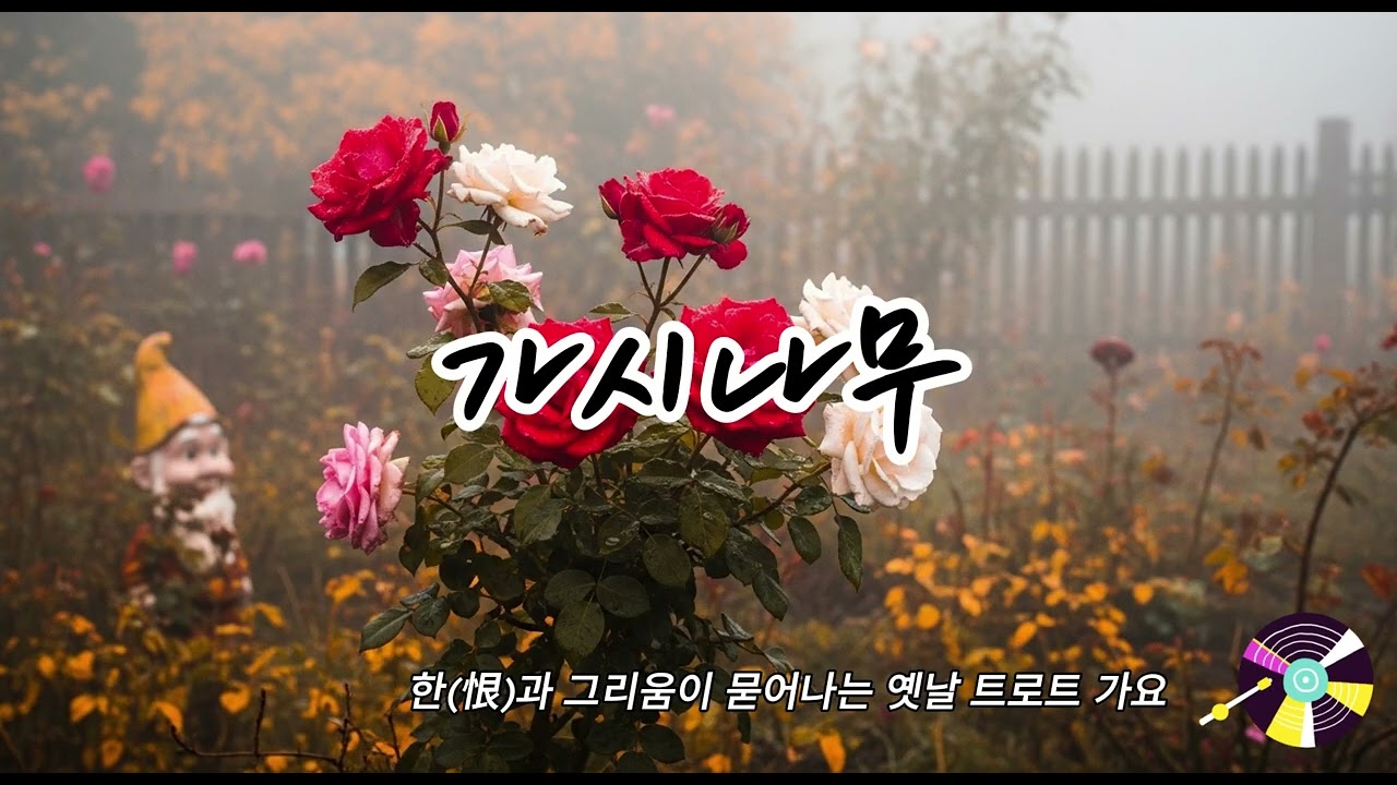💔 가시나무 #발라드트로트 #7080감성