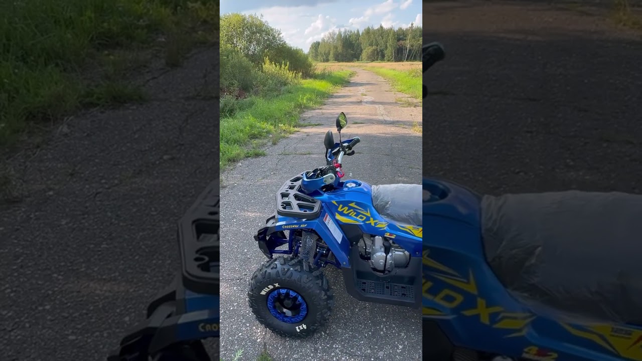 Большой обзор! Детский квадроцикл Motoland Wild X 125!👍