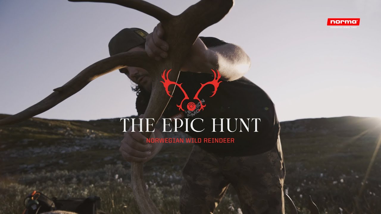 The Epic Hunt: Norwegian Wild Reindeer – Part Three