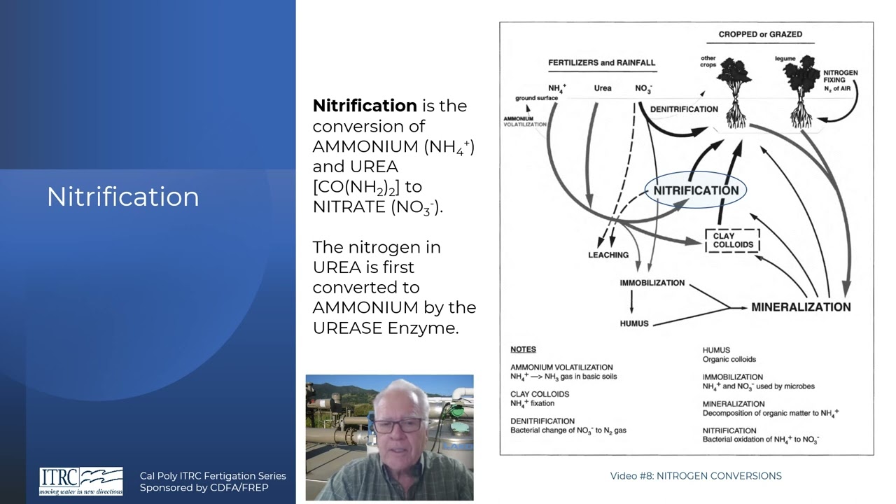 Fertigation Series 8: Nitrogen Conversions