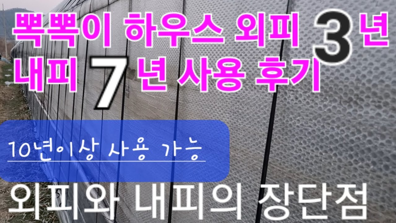 뽁뽁이비닐한번씌우면10년#뽁뽁이하우스내피7년외피3년사용장단점#Once covered with bubble wrap, it lasts for 10 years#농사유튜브