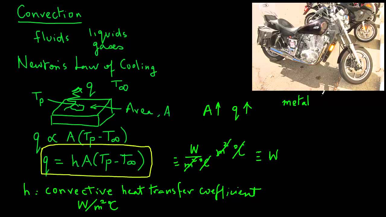 Convection heat transfer in foods