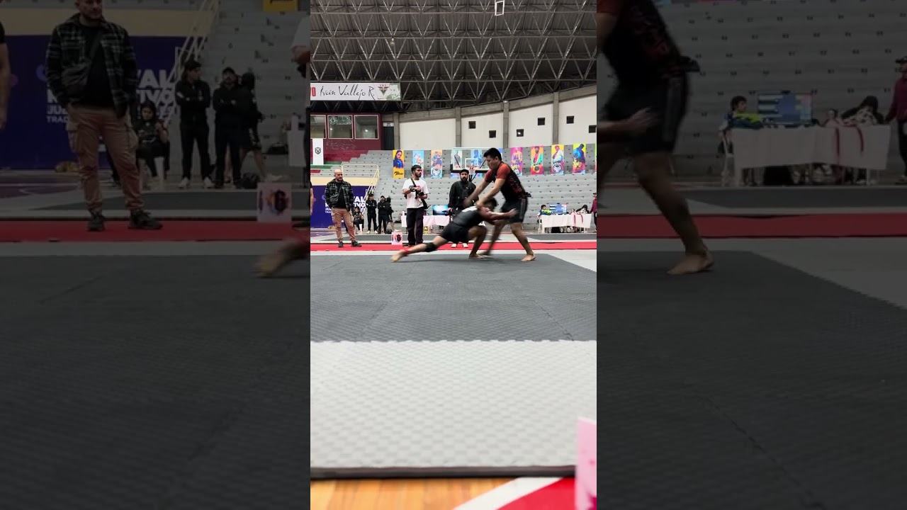 Final absoluto cinta marron NOGI JIUJITSU SHOWDOWN 2026
