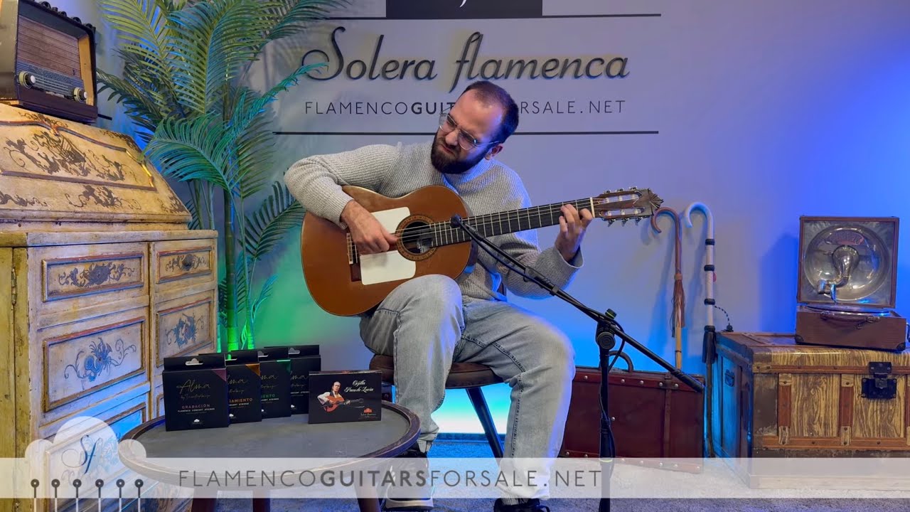 Gerundino Fernández 1974 flamenco guitar for sale played by Toni Abellán