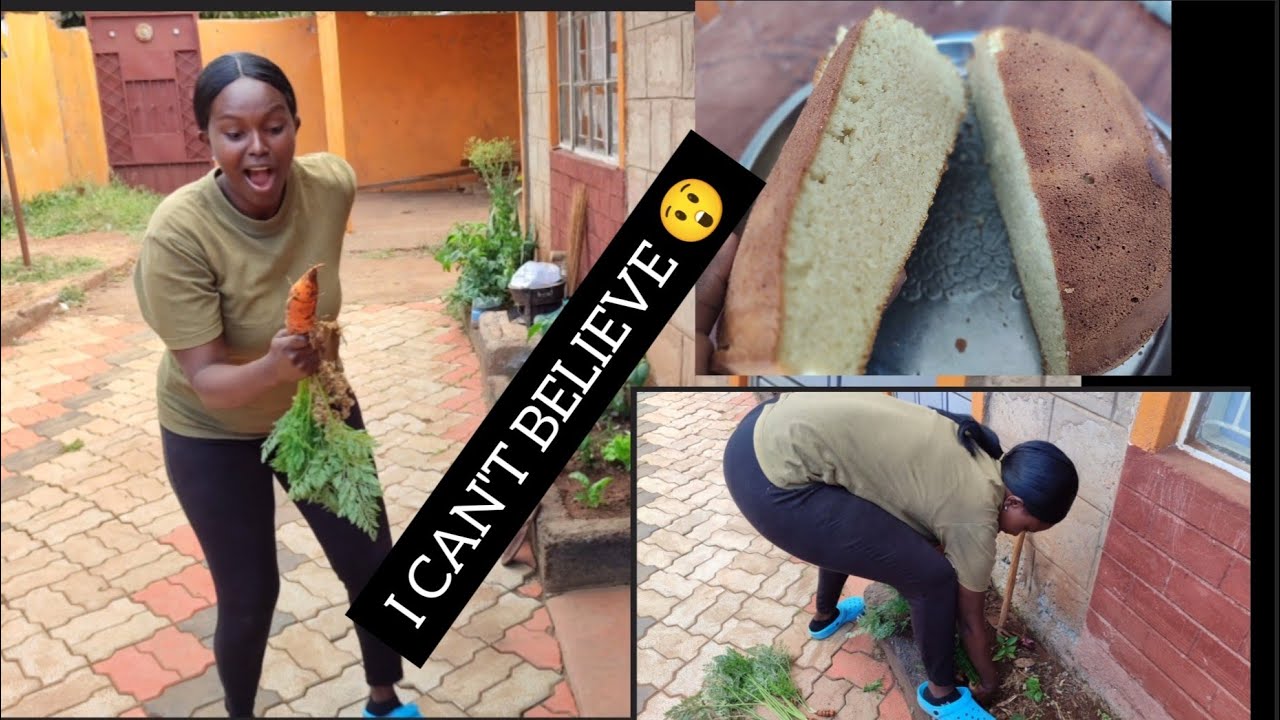 let's harvest my carrots as we tour my kagurden😁.I baked a cake without using a Blender 😲.