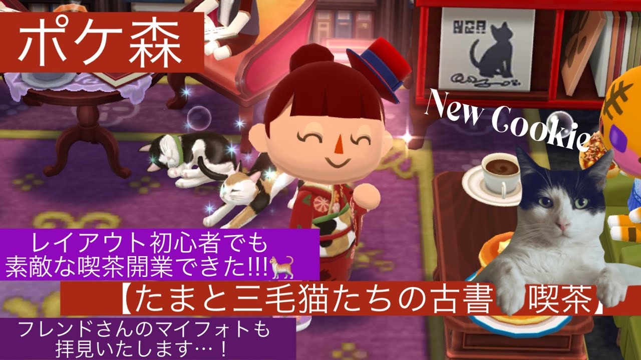 【ポケ森】たまと三毛猫たちの古書喫茶📕10個食べてレイアウト…！！