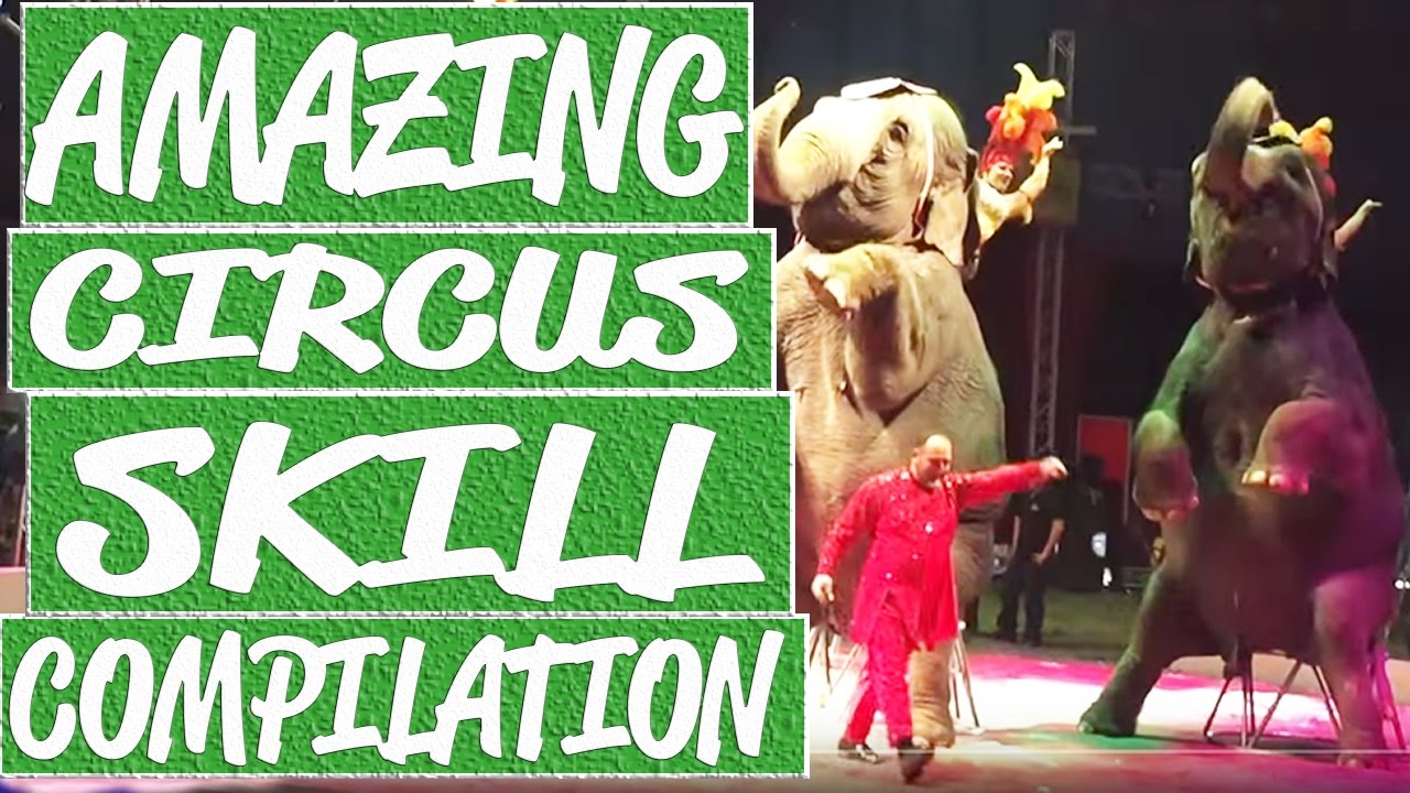 Amazing circus acts that will make you impressed || Best circus shows compilation