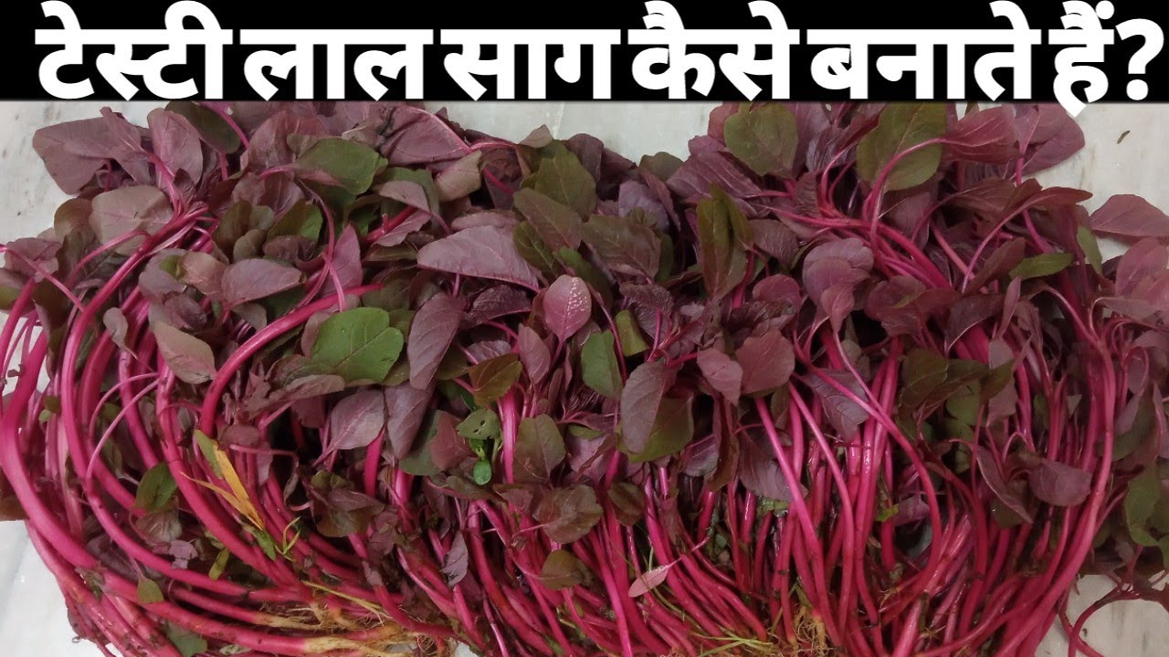 लाल साग काटने का सही तरीका - लाल साग ऐसे बनायेंगे तो नही खाने वाले भी उंगलियाँ चाट-चाट कर खायेंगे |