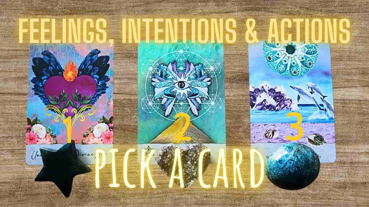 💕 THEIR FEELINGS, ACTIONS AND INTENTIONS! Find out the truth PICK A CARD Love Tarot messages
