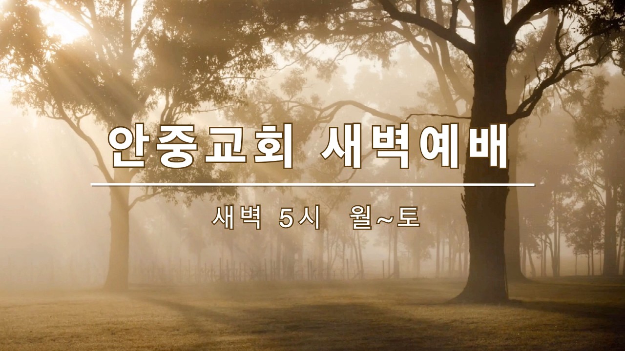 2026년 3월17일(화) 안중교회 새벽예배