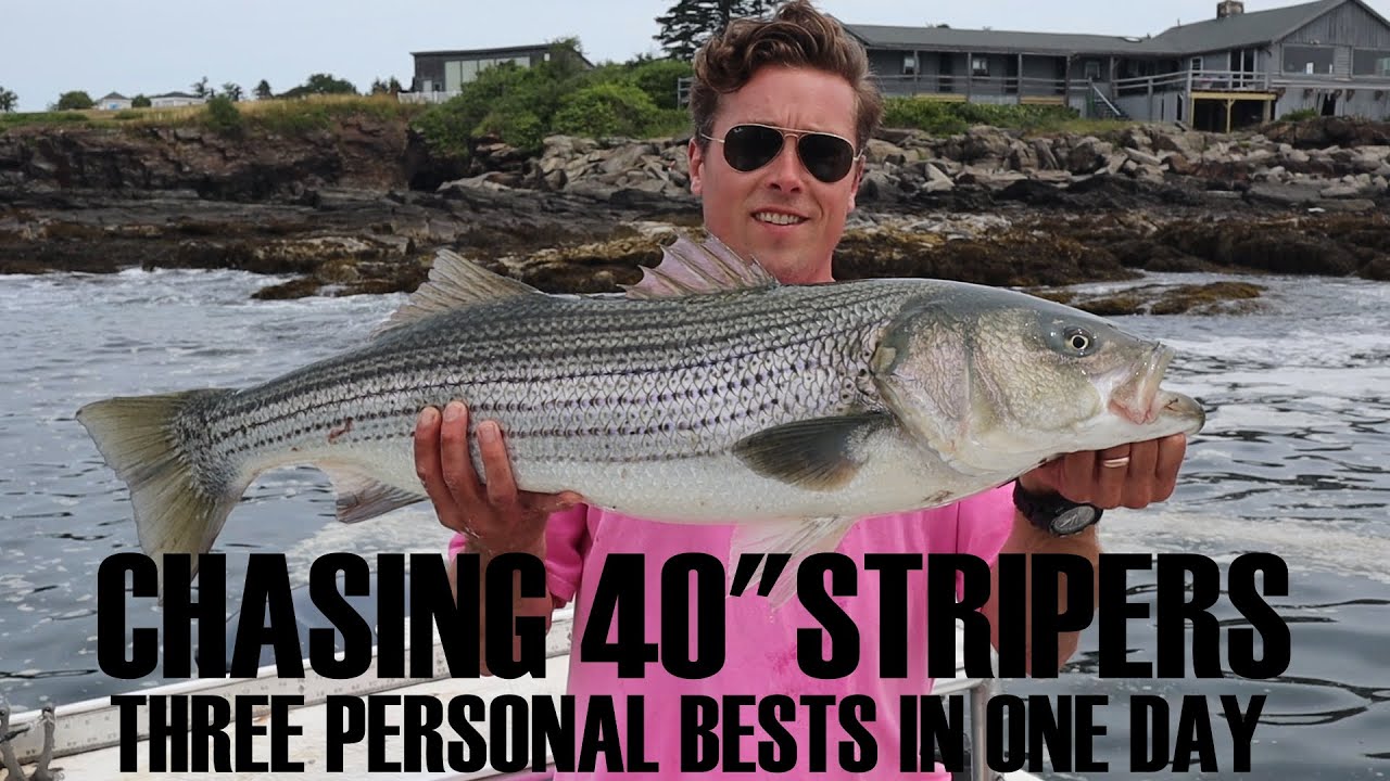 Striped Bass Fishing in Maine chasing that 40