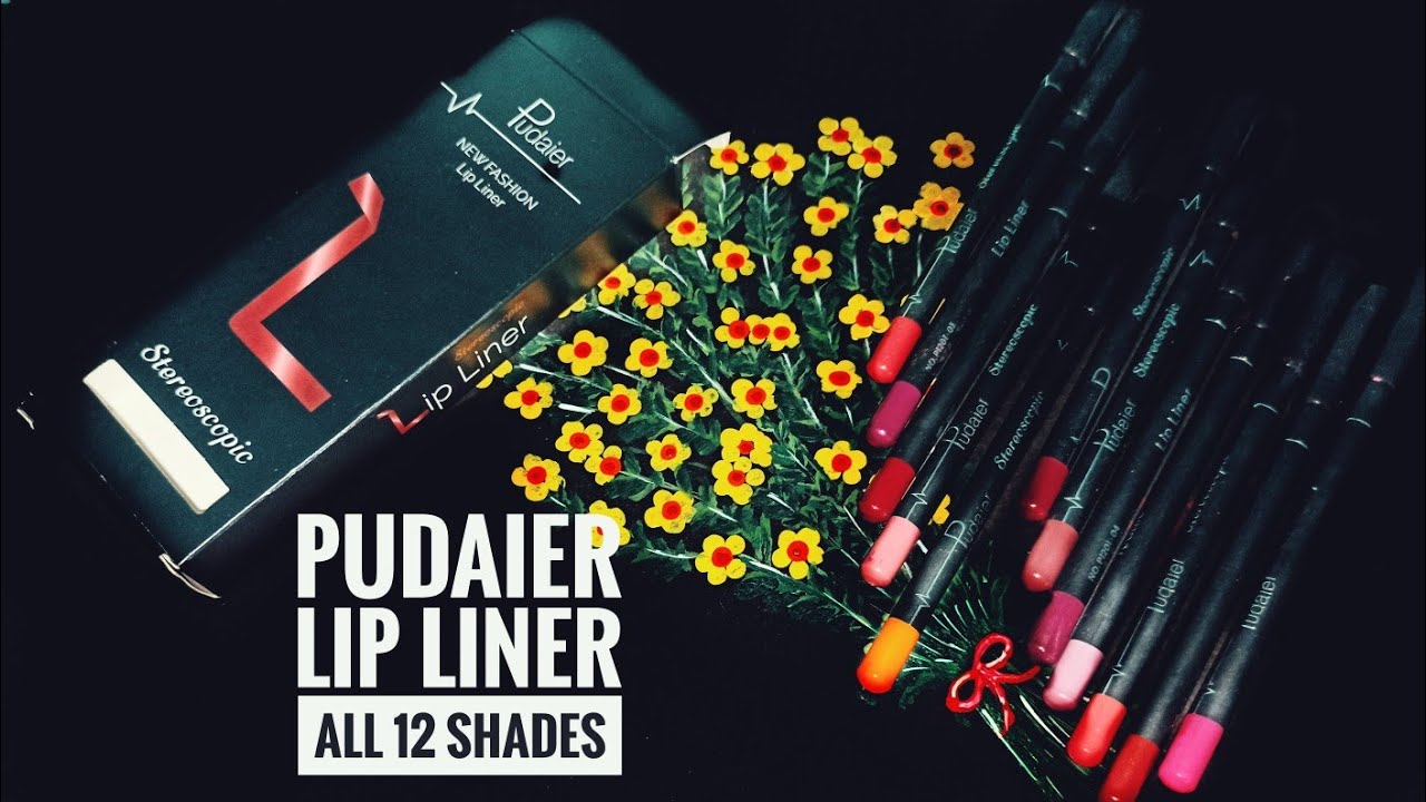 Pudaier Pencil Lip Liner Lip Swatches & Review || Lip Liner Swatches || Pudaier Lipstick