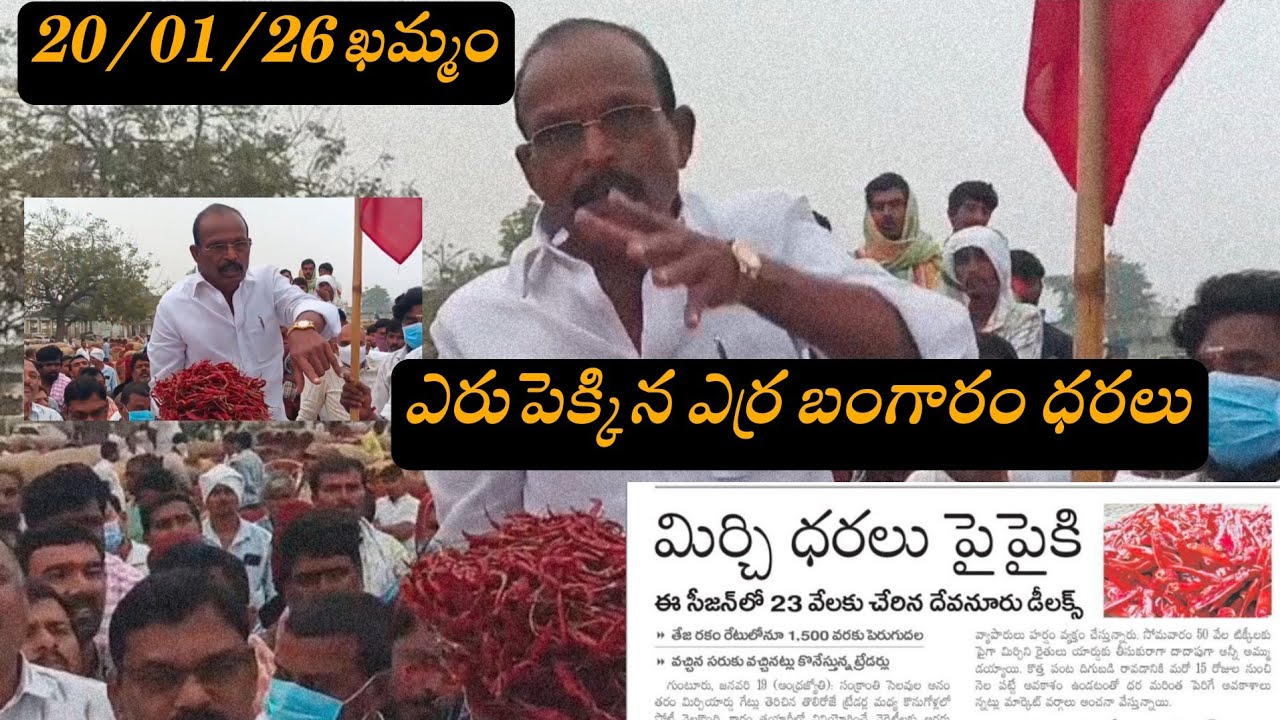 20-01-26 ఈరోజు #ఖమ్మం మార్కెట్ యార్డు ధరలు Khamam market yard prices mirchi chilli खमाम बाजार 