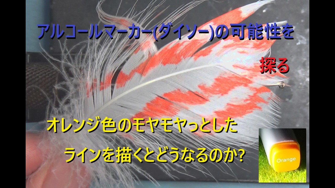アルコールマーカー(ダイソー)の可能性を探る　イラン イラク イクラ作戦　羽根の軸と平行気味にオレンジの模様を描いてみよう