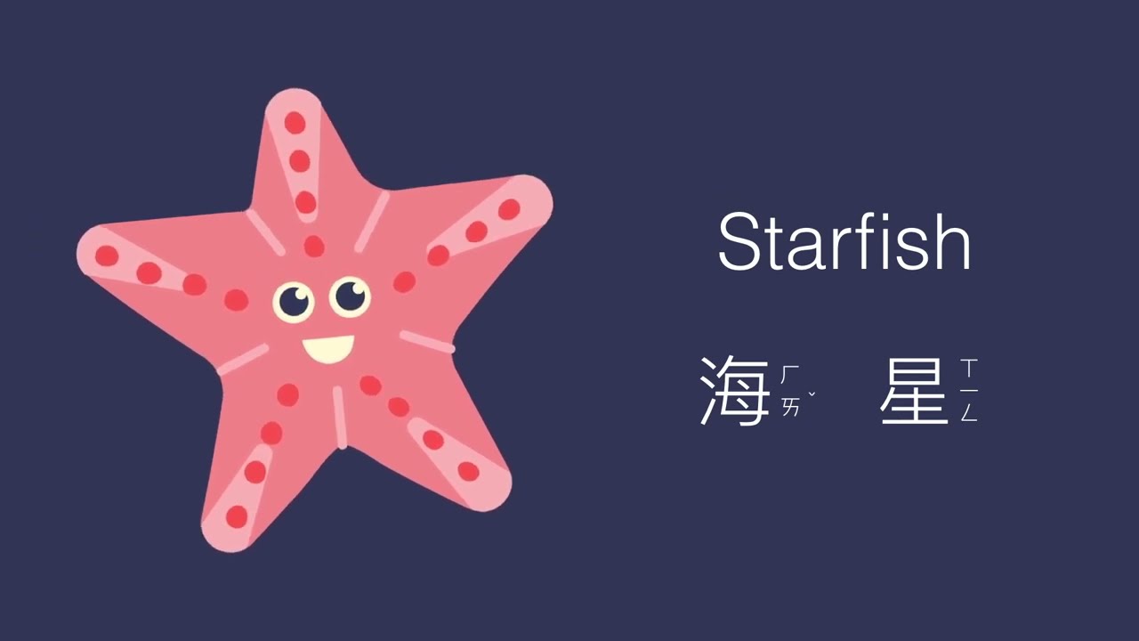 幼兒英文單字｜夏天｜海灘｜認識季節｜兒童英文學習｜中英文單字｜雙語教育｜Summer and Beach Vocabulary in Chinese
