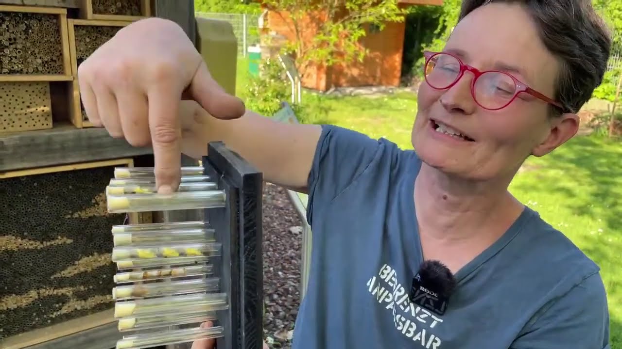 Live von Pias Bienenstand - 29.04.2025