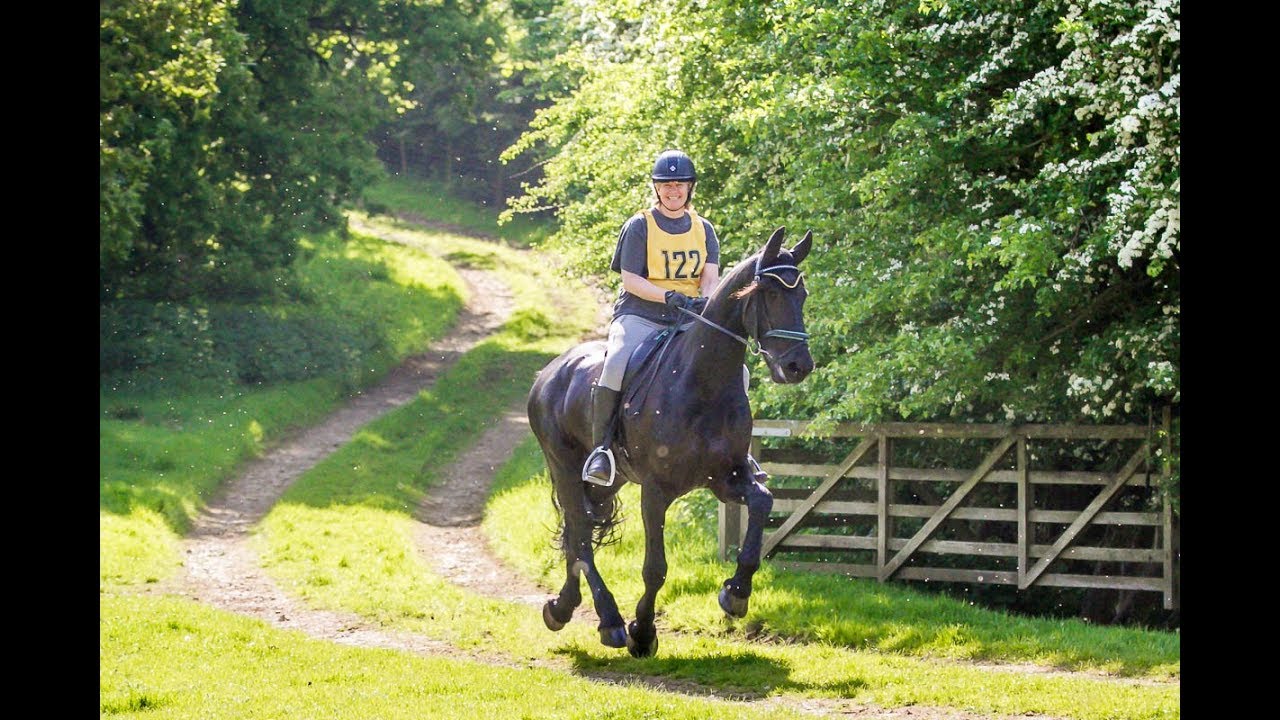 Friesian Horse Apollo does a 22k endurance ride, part two