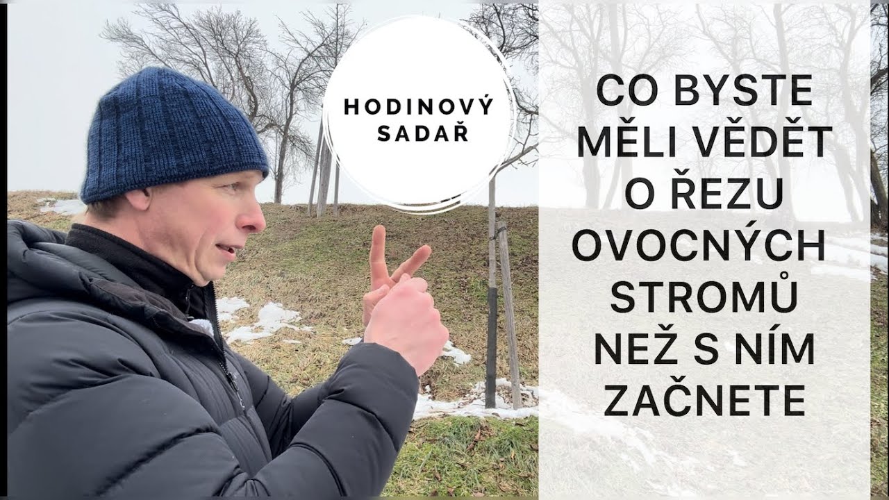 🌳 Přednáška 🌳 Kdy stříhat ovocné stromy 🌳 Hormony 🌳 Fenoly 🌳 Zimní a jarní řez 🌳
