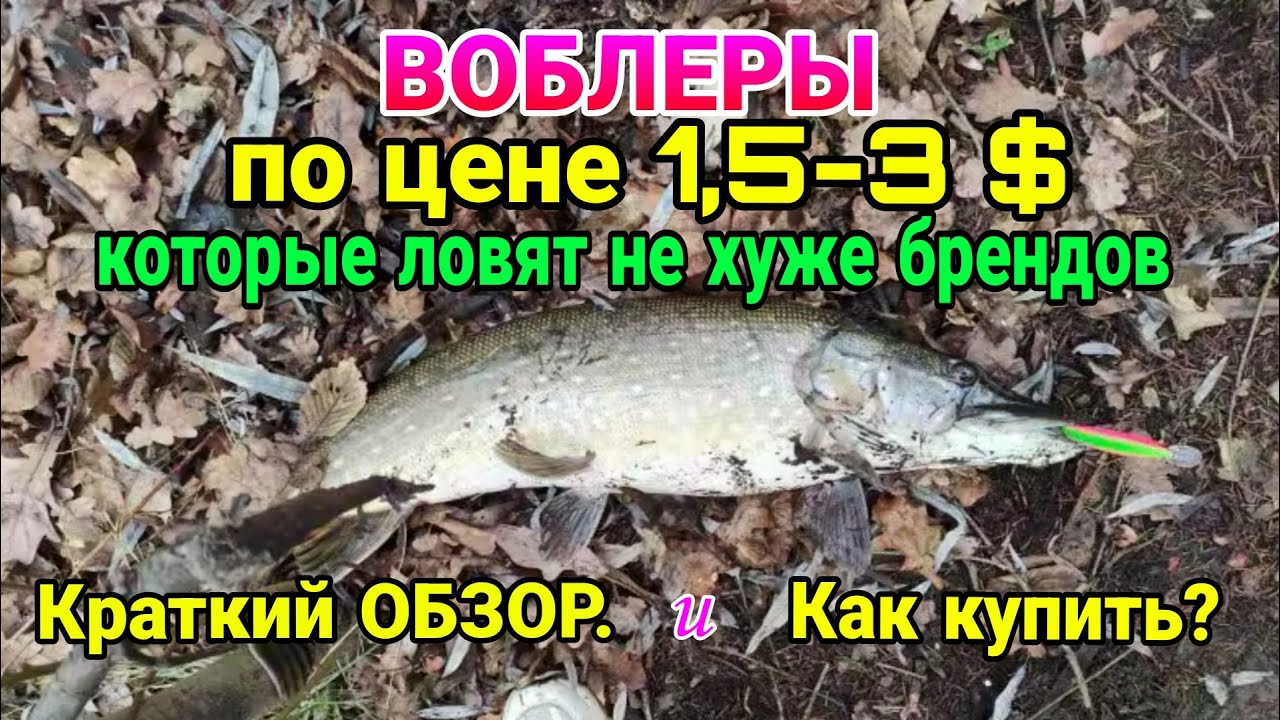 Бюджетные воблеры, которые ловят щуку не хуже брендов. Краткий обзор и где купить.