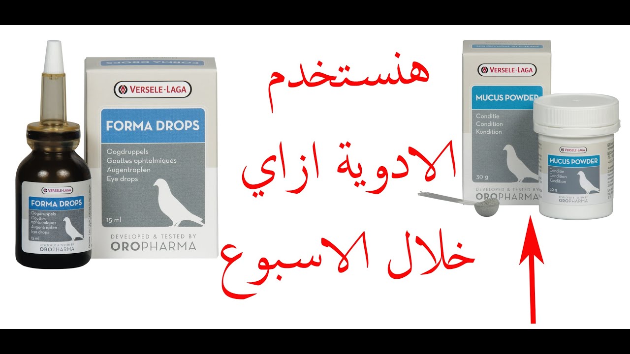 علاج الحمام   غاوي الحمام الزاجل مع احمد فارس الجزء 5 منتجات الوقايه ح 27