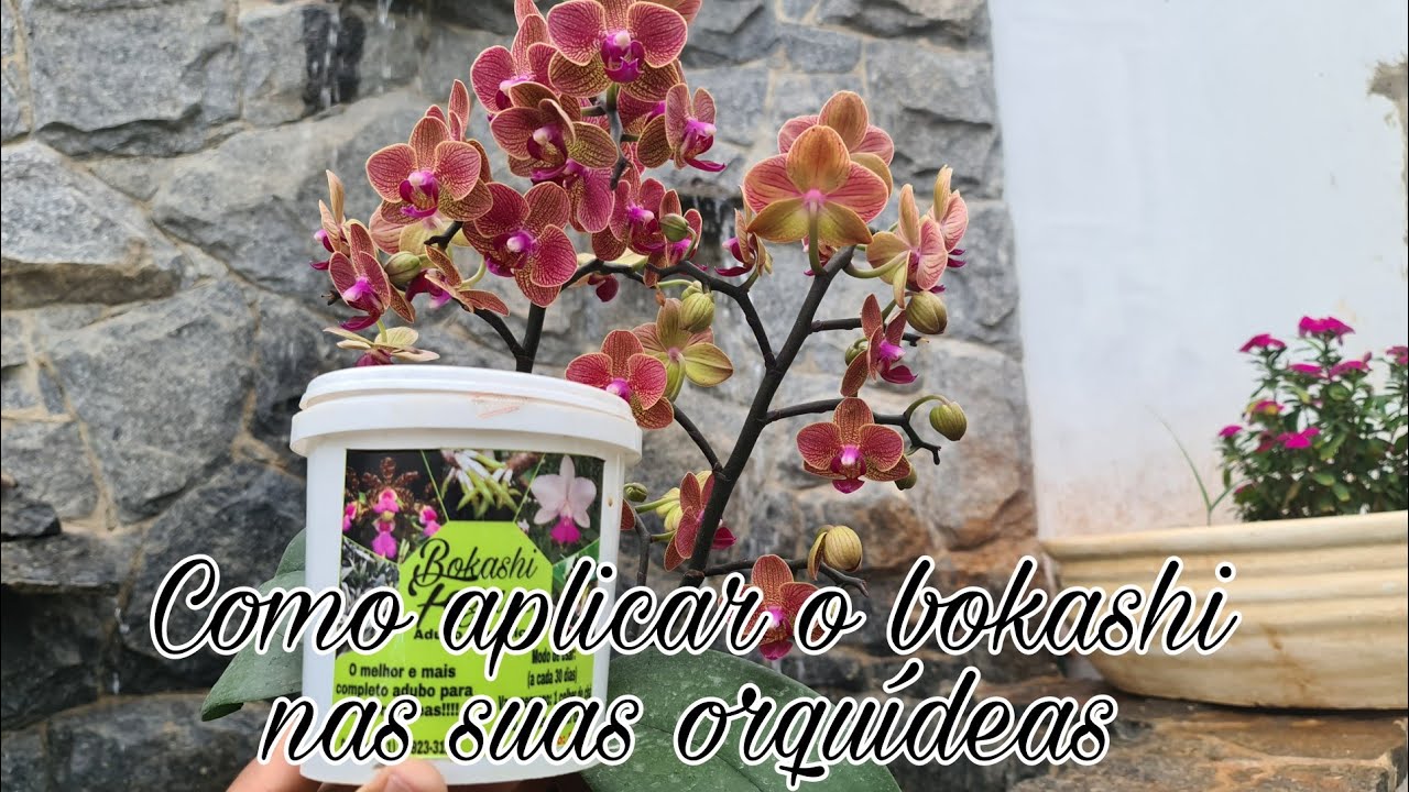 Como adubar com bokashi