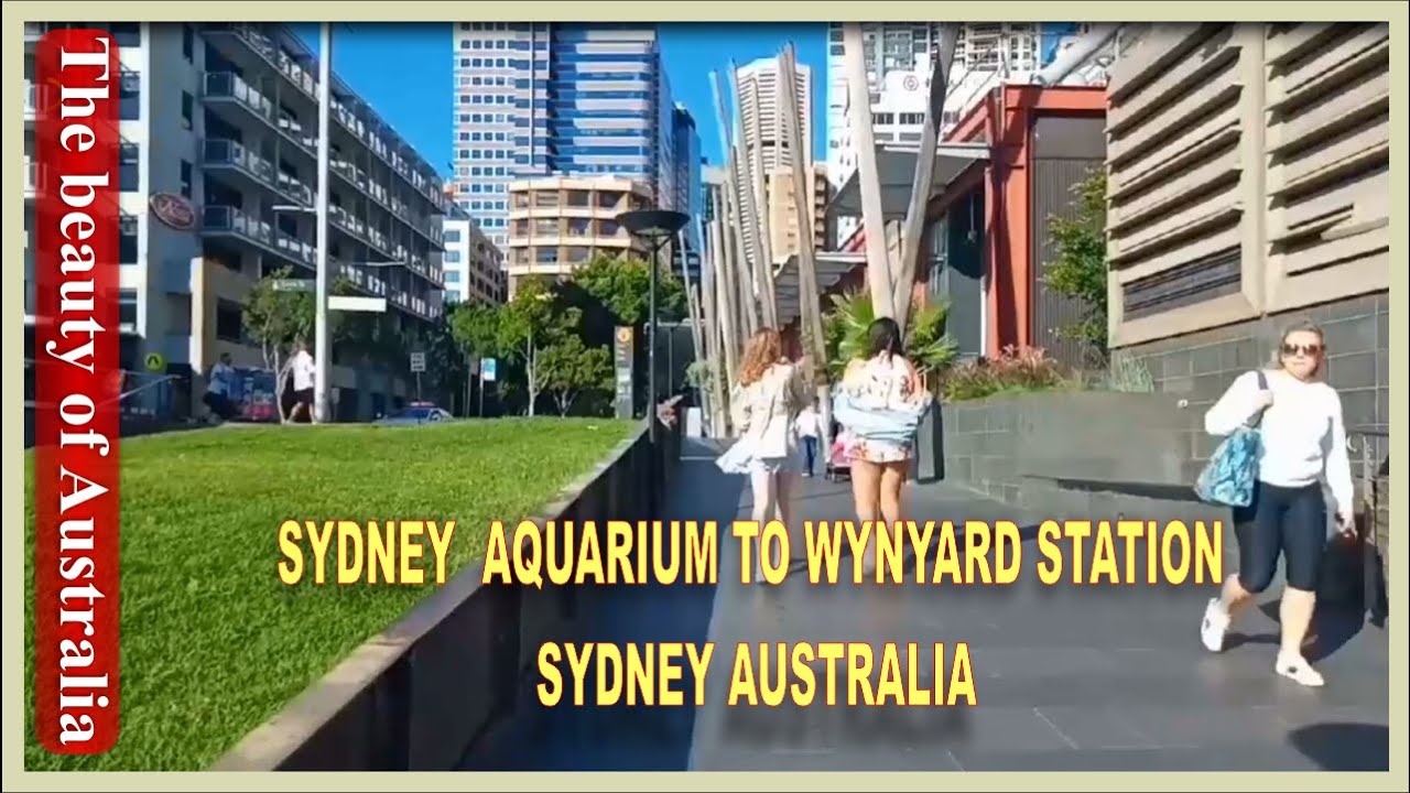 Sydney Aquarium to Wynyard Station | Walking around Sydney Aquarium to Wynyard Station | Bashrat