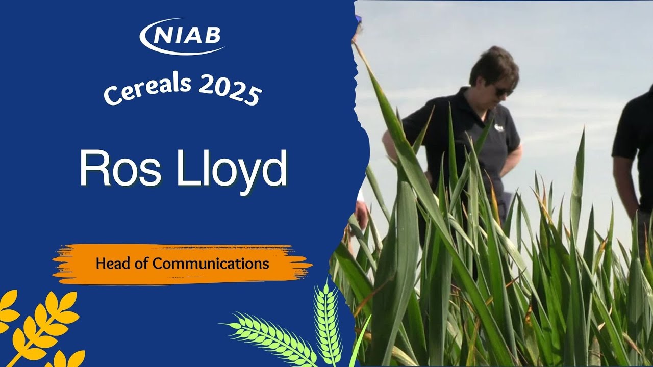 Cereals 2025: What will you find on the Niab stand this year?