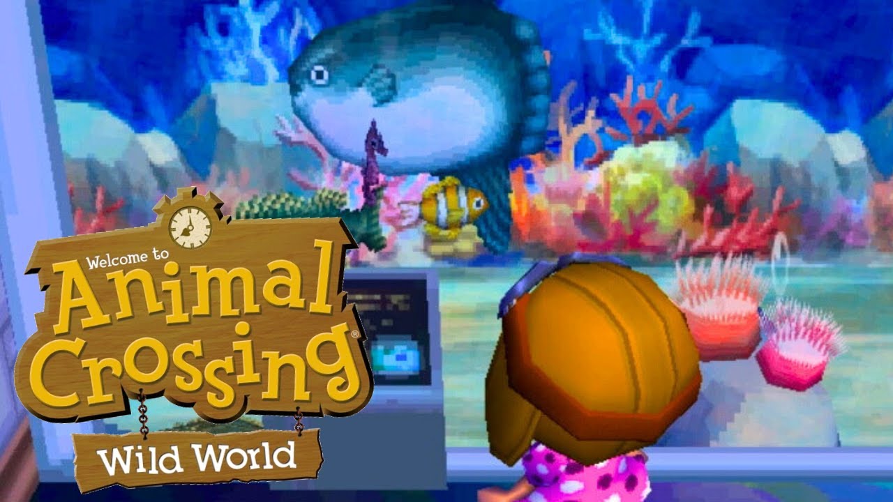 Animal Crossing: Wild World - BIG NEW Fish