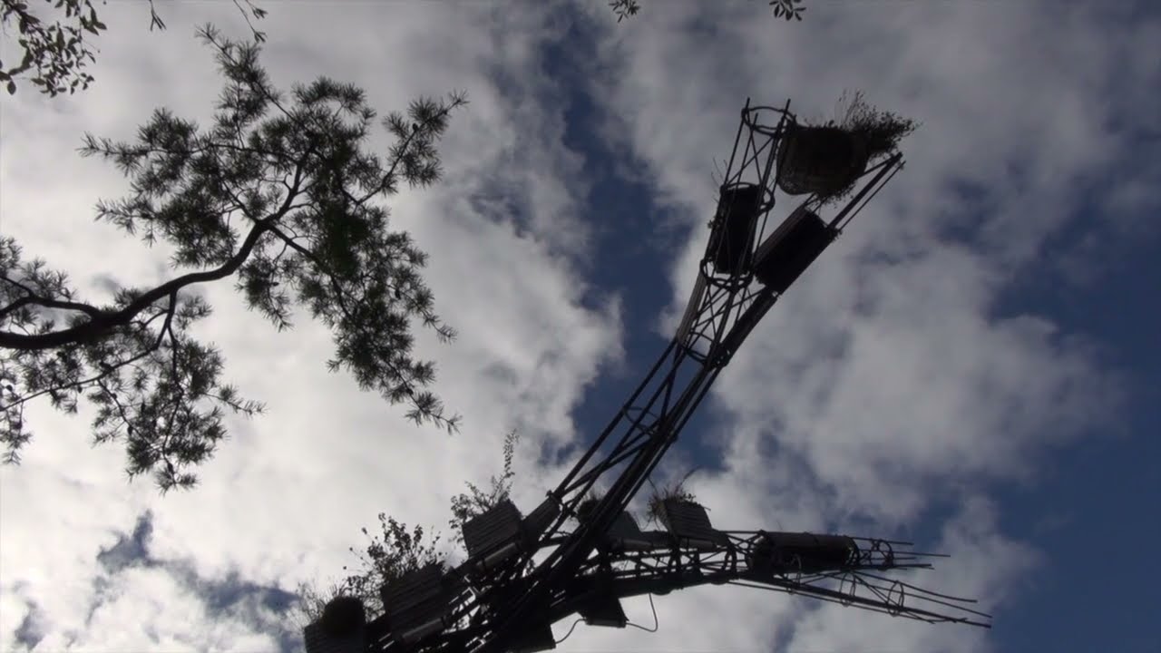 L'arbre aux hérons à Nantes