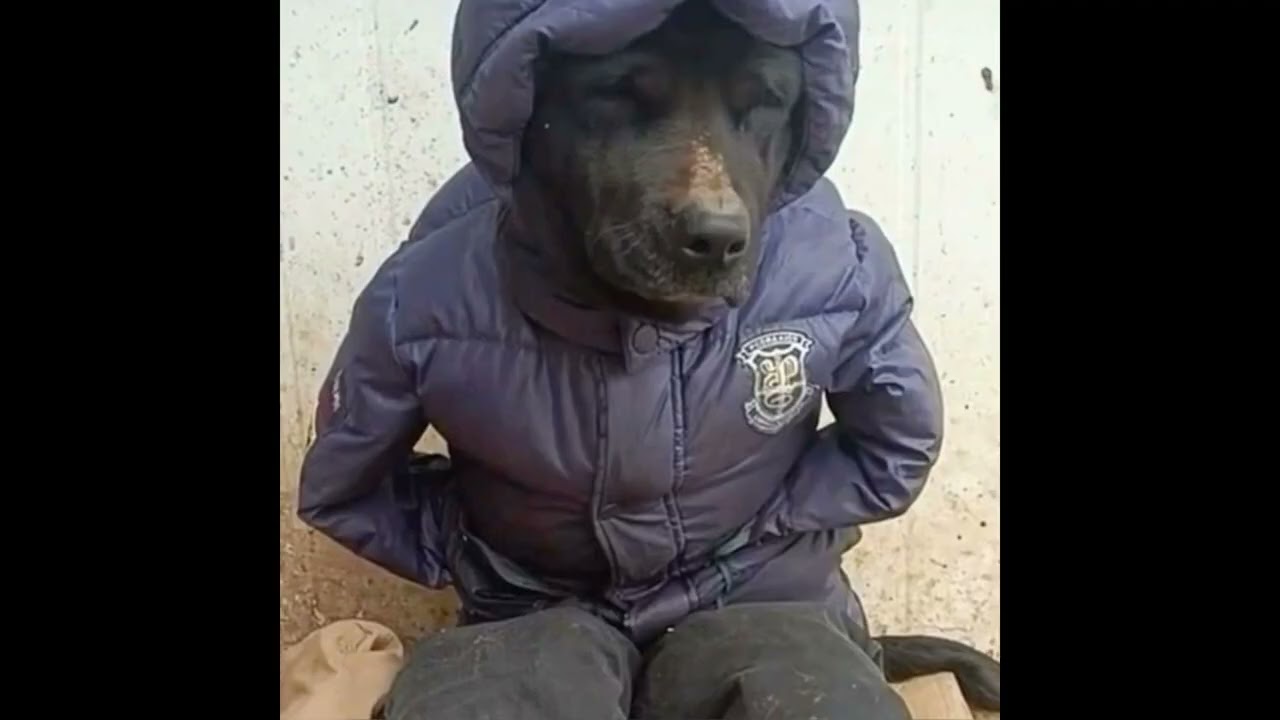 (FREE) GLO x IAN Type Beat 