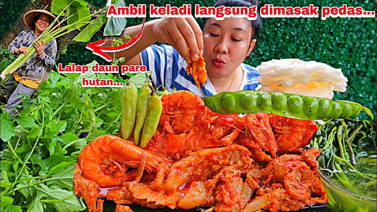 AMBIL BATANG KELADI DIRUMAH EMAK ,MASAK OSENG PEDAS CAMPUR UDANG DAN MAKAN, LALAP DAUN PARE HUTAN