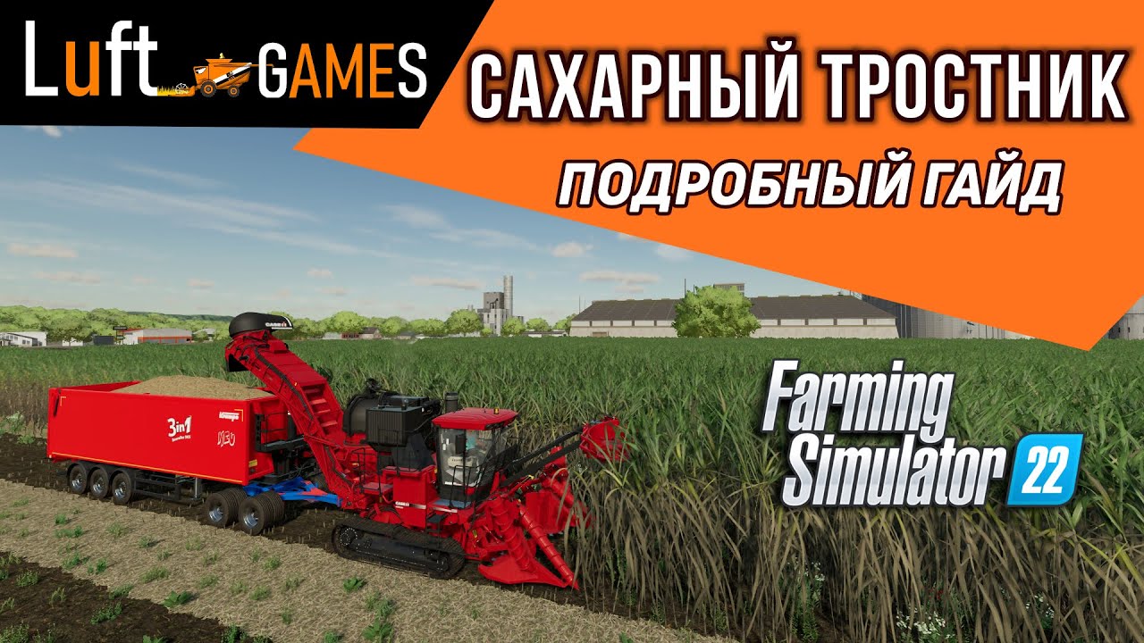 Сахарный тростник: особенности выращивания и выгода | Farming Simulator 22