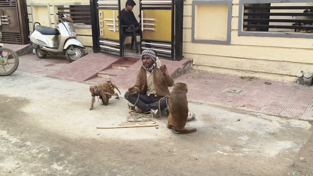Jadugar ka Jadu
